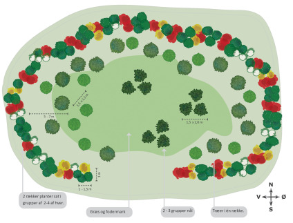 Vildtremise, vildtplantning